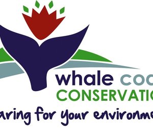 Caring for your environment